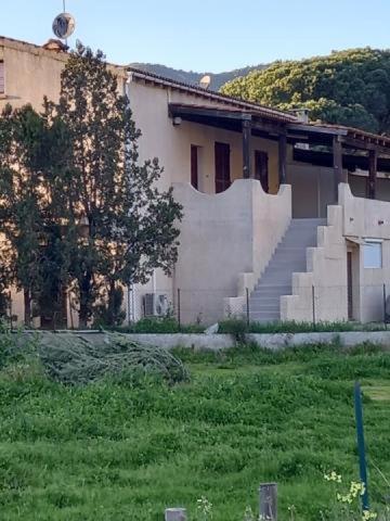 U Palmu Apartamento Sagone  Exterior foto